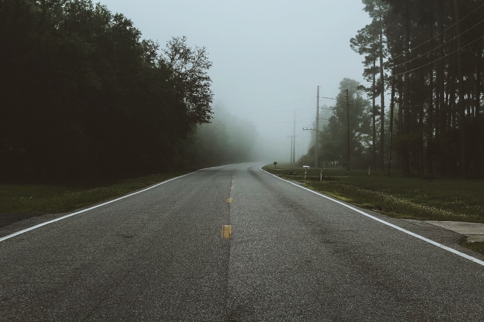 Nebel straße morgen autobahn