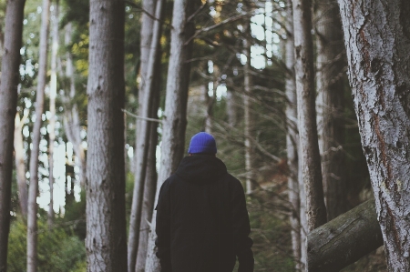 Man landscape tree nature Photo