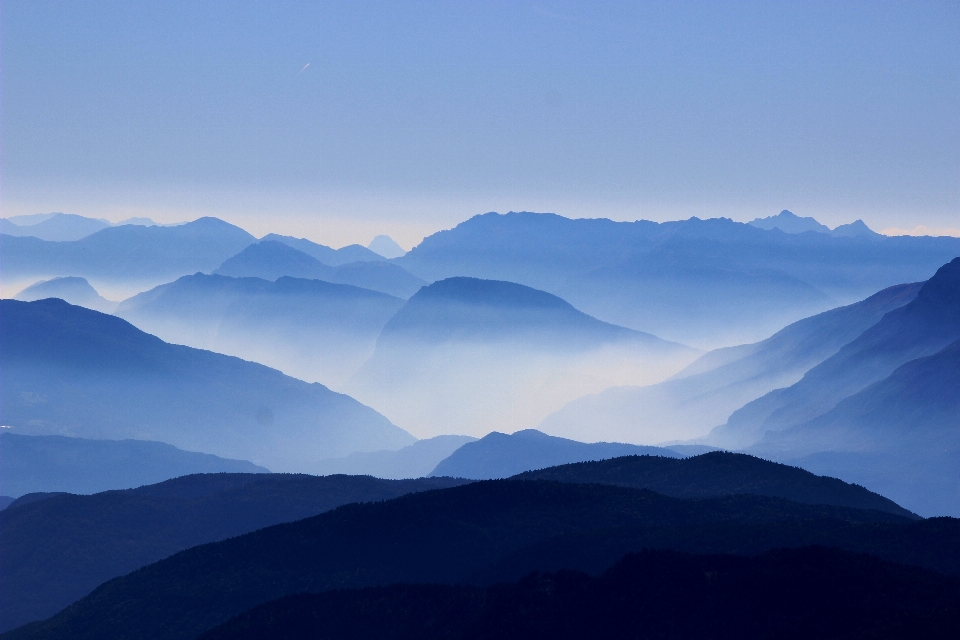 Paisagem natureza floresta horizonte