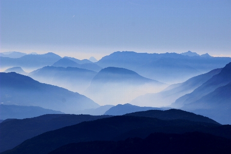 風景 自然 森 地平線 写真