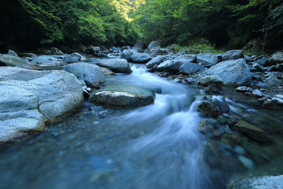 Landscape water nature forest