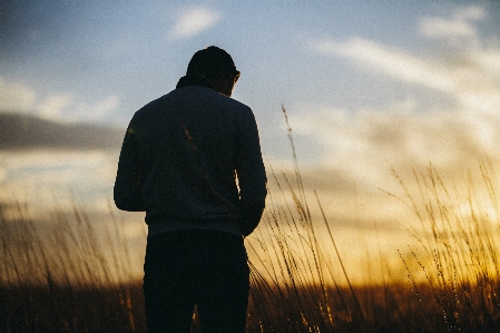 Grass horizon silhouette sunset Photo