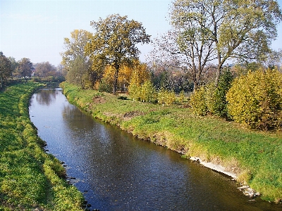 Landscape tree water nature Photo