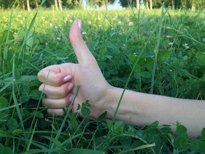 Foto Mão grama plantar campo