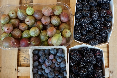 Foto Planta fruta baya alimento