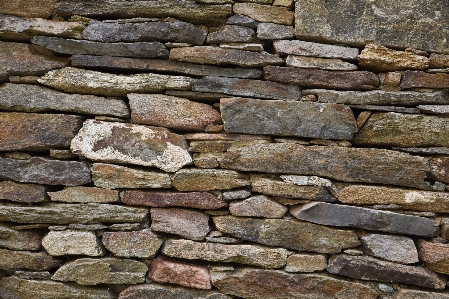 Nature rock wood texture Photo