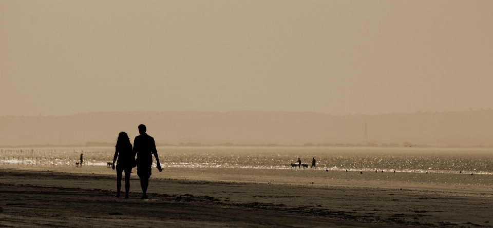 Man beach sea coast