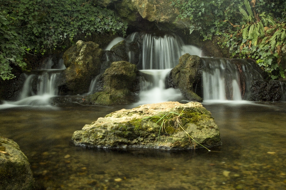 Paysage eau nature forêt