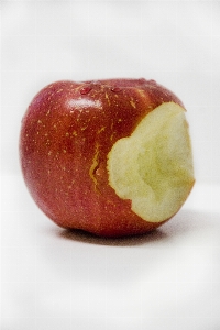 Apple nature plant fruit Photo