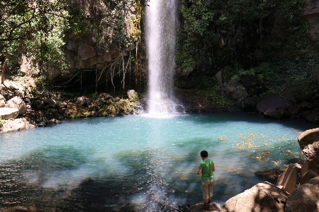 Water forest waterfall wilderness Photo