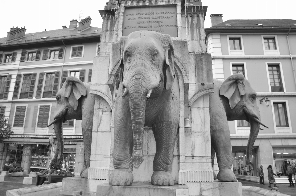 Bianco e nero
 monumento statua monocromo