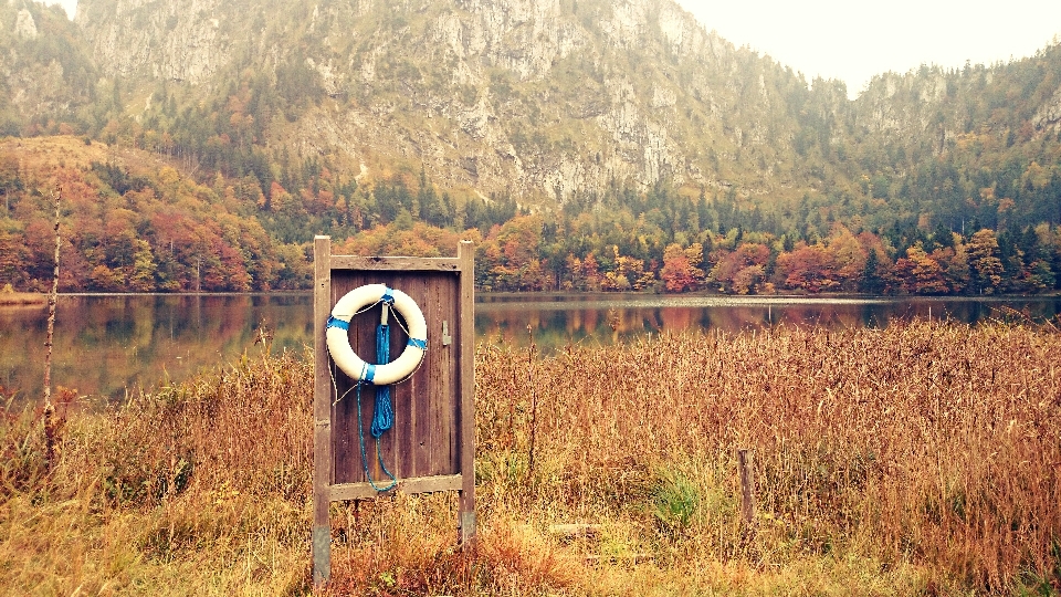 Paesaggio albero acqua natura