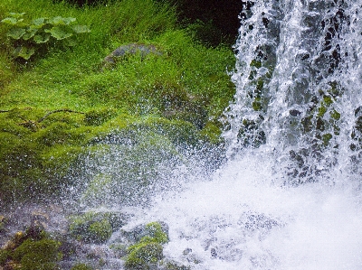 Foto Paisagem água natureza cachoeira