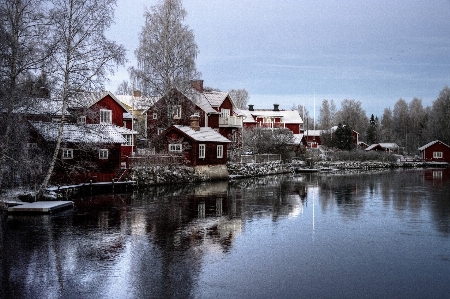 Landscape tree water snow Photo