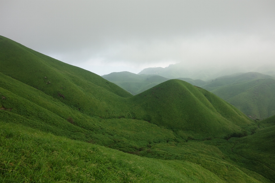 Paisaje naturaleza césped montaña