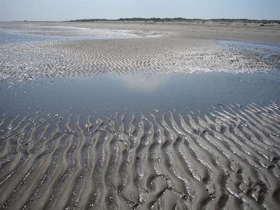 Beach sea coast sand Photo