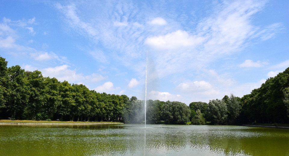 Arbre eau nature nuage