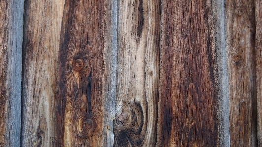 Tree structure wood grain Photo