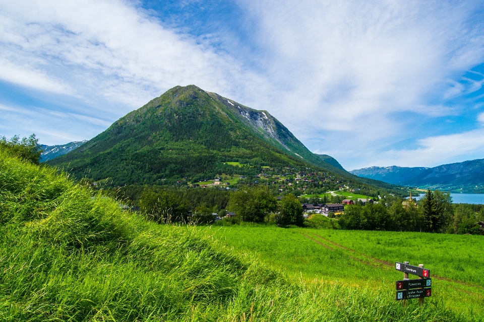 風景 自然 草 荒野
