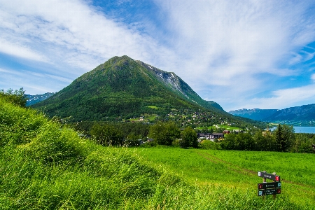 Landscape nature grass wilderness Photo