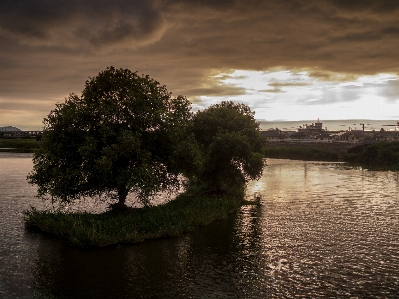 Landscape sea tree water Photo