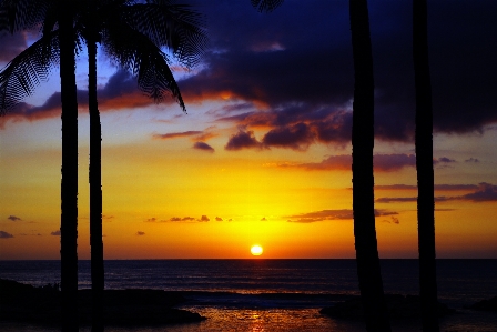 Beach landscape sea coast Photo