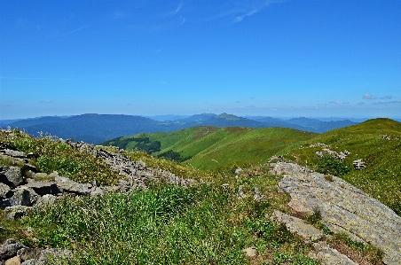 Landscape nature forest grass Photo