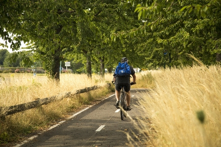 Photo Route piste vélo des loisirs