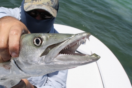 Sea coastal fishing usa Photo