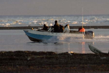 ビーチ 風景 海 海岸 写真