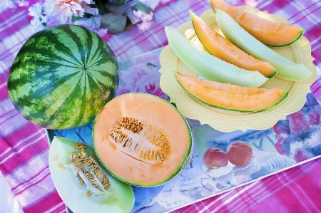 Plant fruit sweet summer Photo