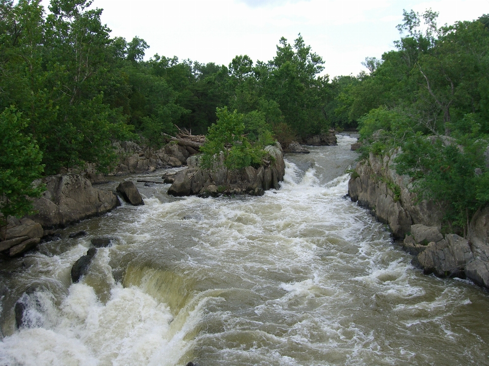 Woda rzeka dolina stream