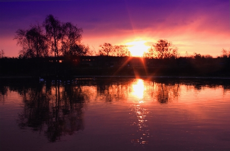 Landscape tree water nature Photo