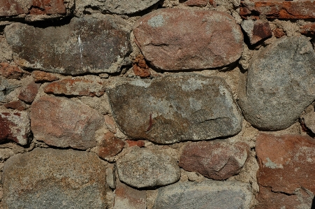 Nature rock structure wood Photo