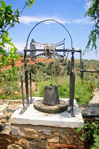 Summer garden lifestyle sculpture Photo