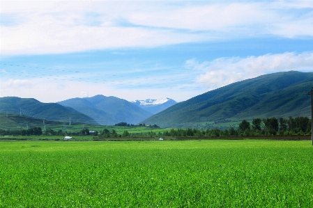 Landscape nature grass horizon Photo