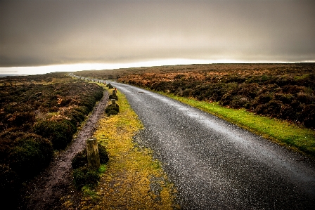 Landscape sea coast nature Photo