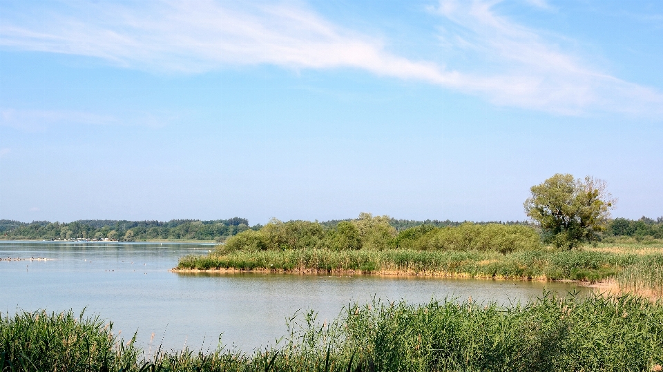 風景 水 自然 沼地
