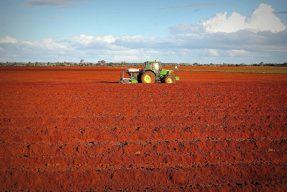 Paesaggio orizzonte pianta cielo