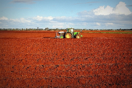 Фото пейзаж горизонт растение небо