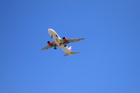 Landscape wing sky fly Photo