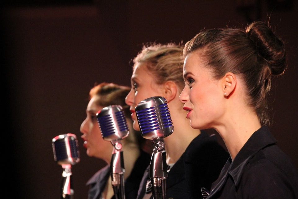 Persona musica concerto cantante