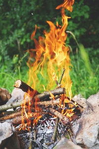 Outdoor wood food autumn Photo