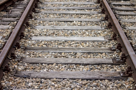 Track railway wagon train Photo