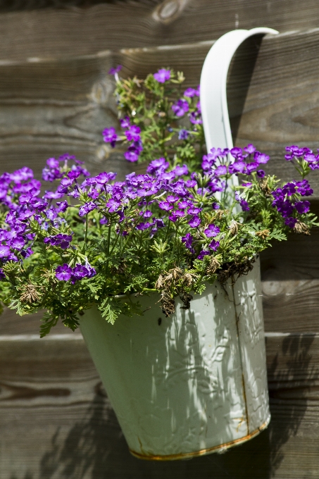 Nature blossom fence structure