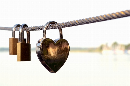 Chain love heart symbol Photo