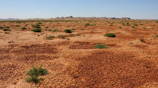 Landscape sand wilderness field Photo