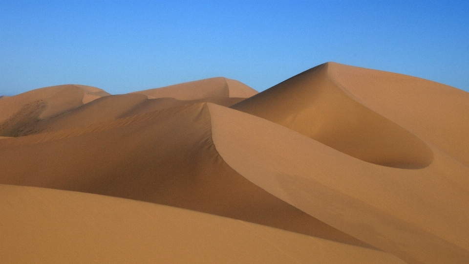 Landscape sand desert dune