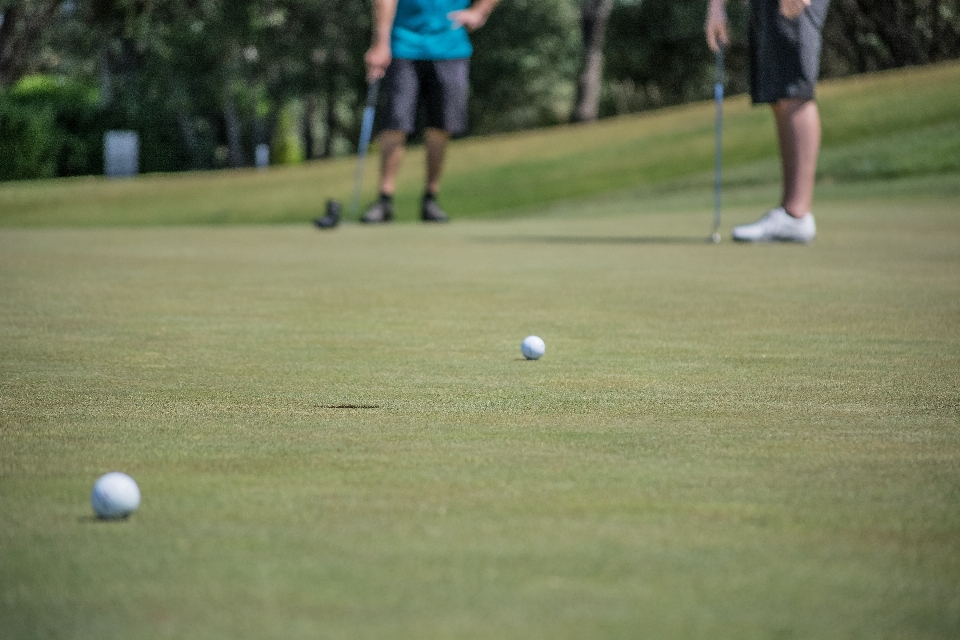 Gras menschen sport spiel