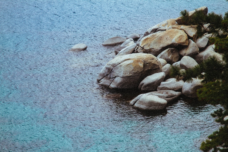 海 海岸 水 自然